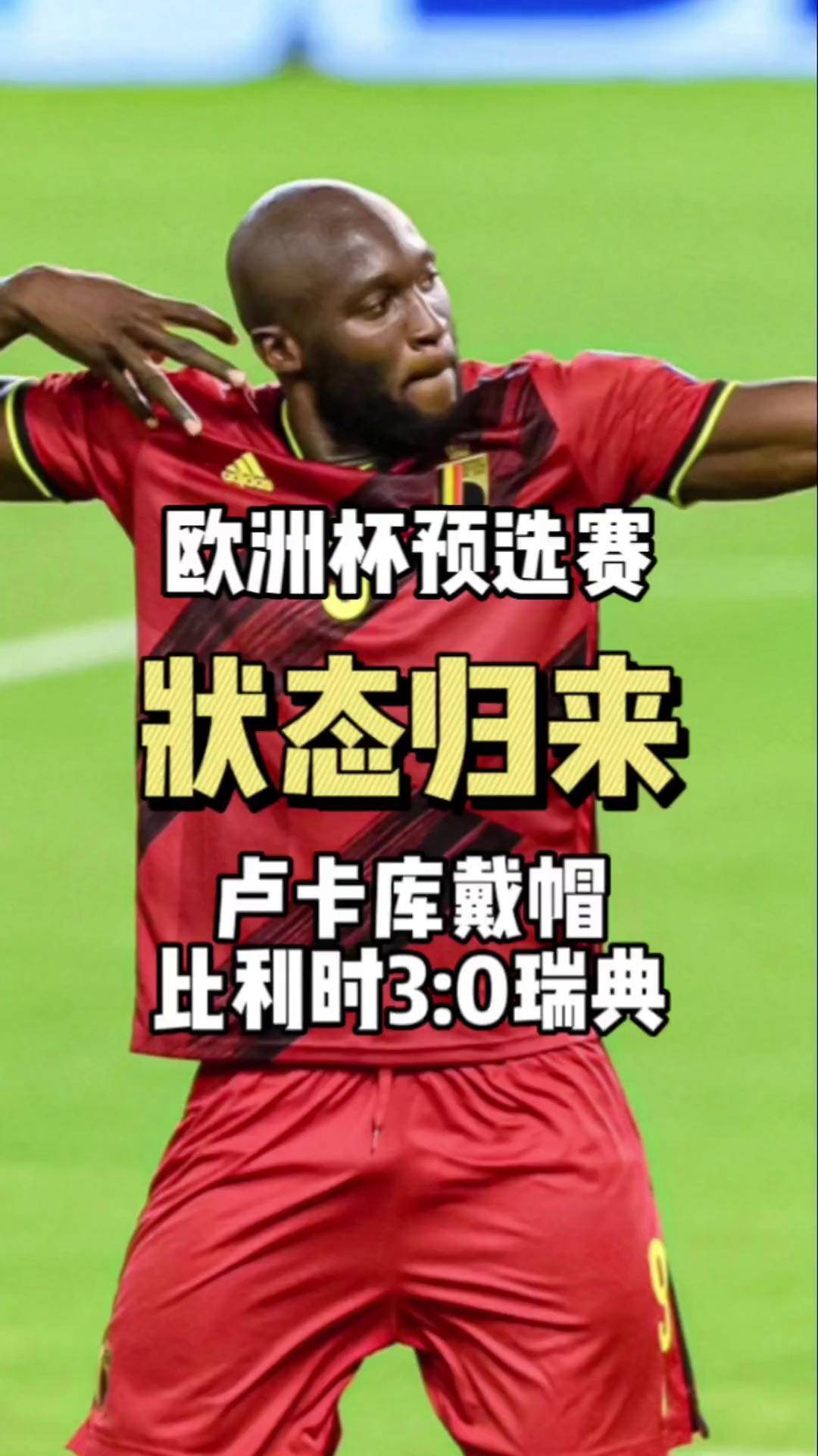 瑞典足球队备战有序，成功确保欧洲杯参赛的简单介绍